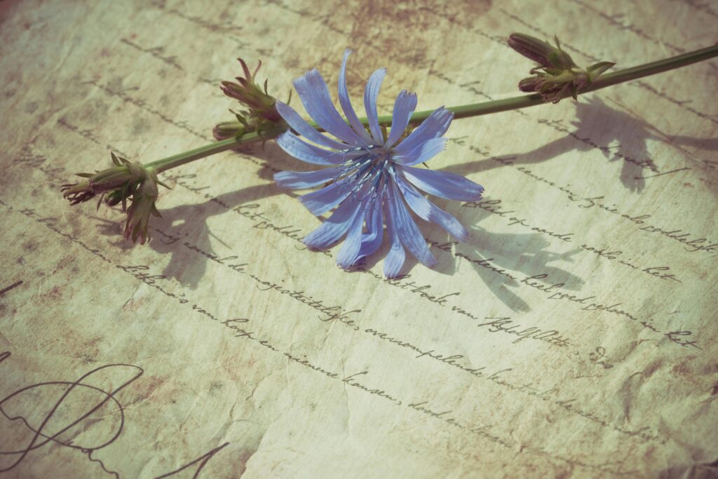 An image of a letter with a flower atop of it.