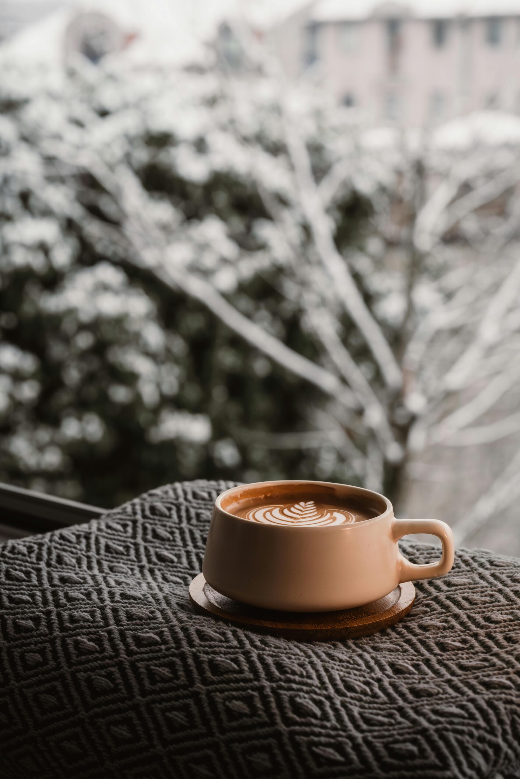 An image of a cup of coffee on a blanket in front of a view of trees with snow.