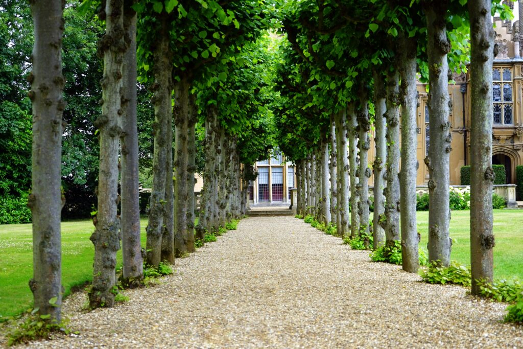 An image of a long path with trees towards a house.