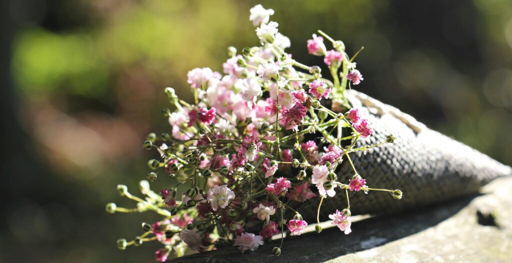 Image of a bouquet of flowers outdoors. 